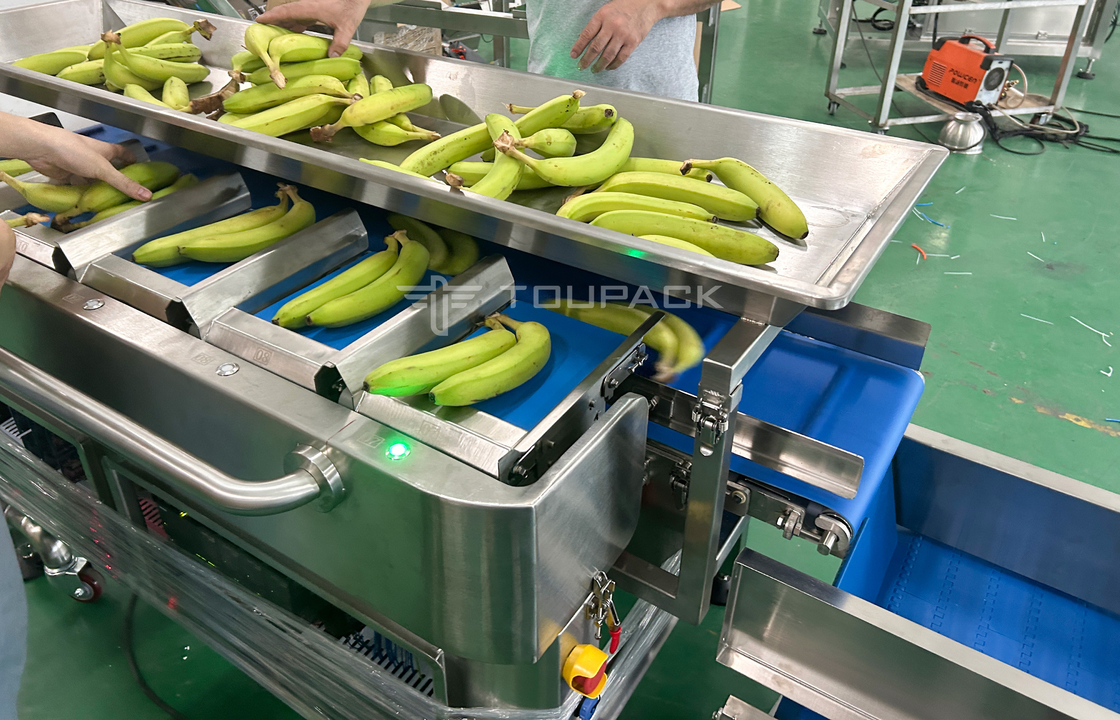 공장 산업 반자동 망 망 가방 무게 계산 망 절단 포장 기계 바나나 과일