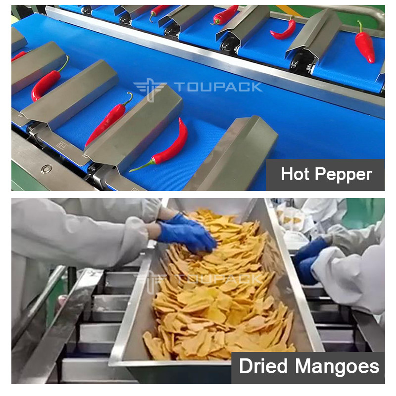 과일 척수 자동 조합 척수 양적 반중량 무게 검증 무게 컨베이어 척수 벨트