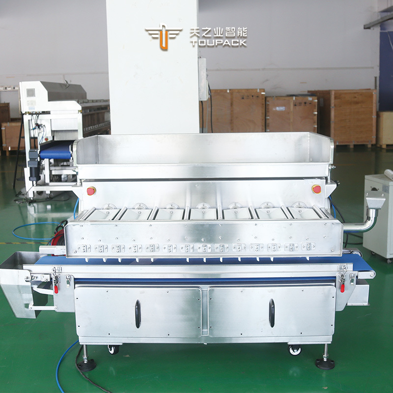 Octopus Multi-head Weigher 7 Head Flip Type Combination Scale Seafood Back Seal Bag Packing Machine