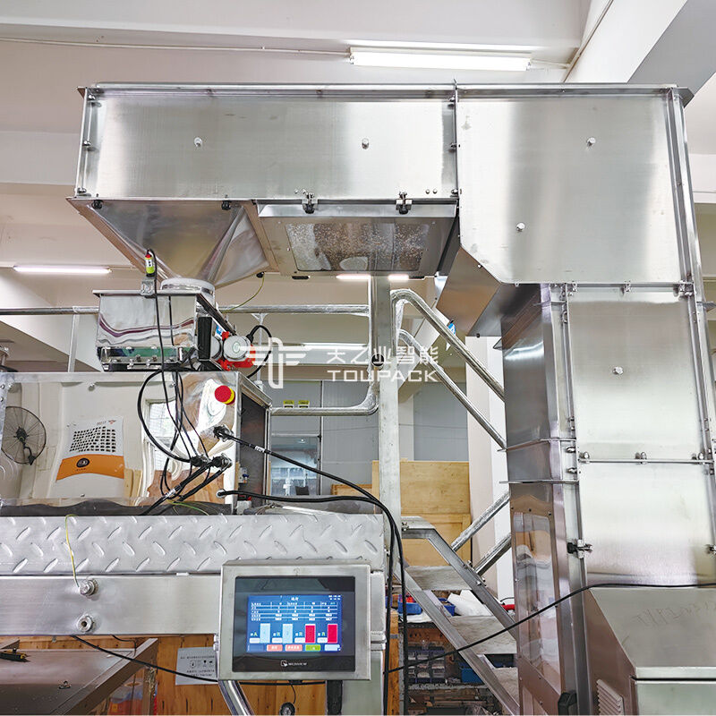 향신료 분말 포장기 100g 200g 500g 칠리 분말 포장 장비 분말 충전 및 밀봉 기계