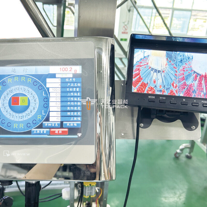 과일 조가비 포장 라인 자동 과일 무게 및 충전 기계 애완 동물 상자 과일 포장 시스템