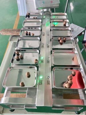 스케일 스테인레스 강 304를 심사숙고하는 탁상용 식량 조합 가중기 12 머리