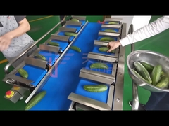 Fruit and vegetable weighing--12 Belt Combination Weigher