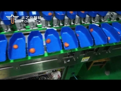 Circular Multi-Weight Sorting Machine》》》egg yolk sorting