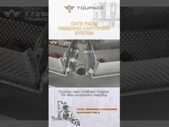 라인 낟알 충전기 자동적 생산 조립 라인을 싸는 특화 대추야자 박스