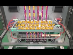 TOUPACK 멀티 레인 백 씰 포장기 세분화된 분말 액체 포장기