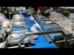 넣는 선과 베개 포장 기계를 가진 12개의 맨 위 조합 무게를 다는 TOUPACK Apple 무게