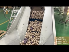 토팩 냉동 고기 덩어리 무게 및 포장 시스템