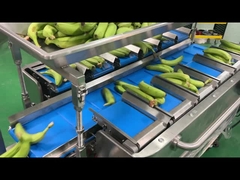 공장 산업 반자동 망 망 가방 무게 계산 망 절단 포장 포장 기계