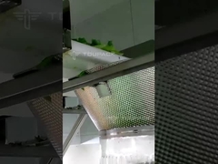 샐러드 가량용 여러 머리 포장 기계