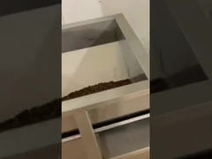 커피 콩 선형 가량 포장기