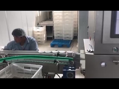 식품 산업용 자동 전자 엑스레이 검사 기계