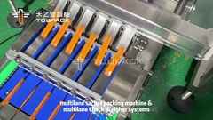 산업용 다차선 스틱 사켓 포장 기계